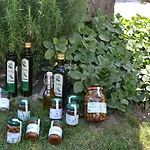 Azienda Agrituristica Arianna 팜스테이 임페리아