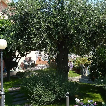 Agroturismo Azienda Agrituristica Arianna
