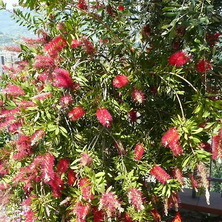 Agroturismo Azienda Agrituristica Arianna *