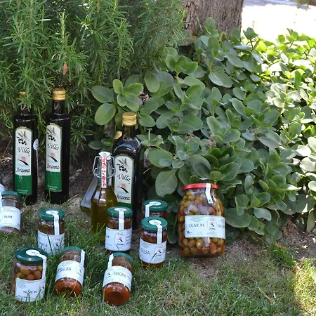 Azienda Agrituristica Arianna Agroturismo Imperia