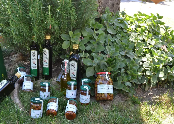 Azienda Agrituristica Arianna Farma Imperia