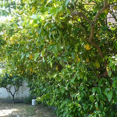 Alloggio per agriturismo Azienda Agrituristica Arianna *