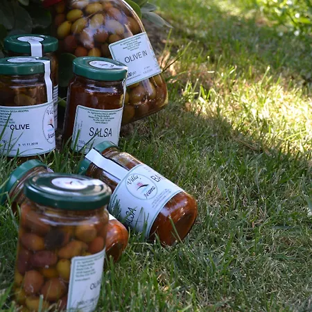 Azienda Agrituristica Arianna 임페리아