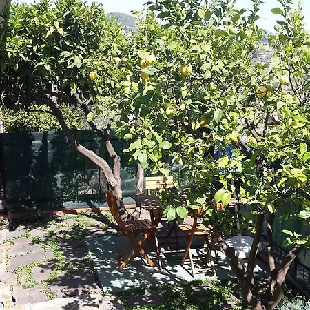 Azienda Agrituristica Arianna