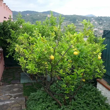 Azienda Agrituristica Arianna Alloggio per agriturismo *