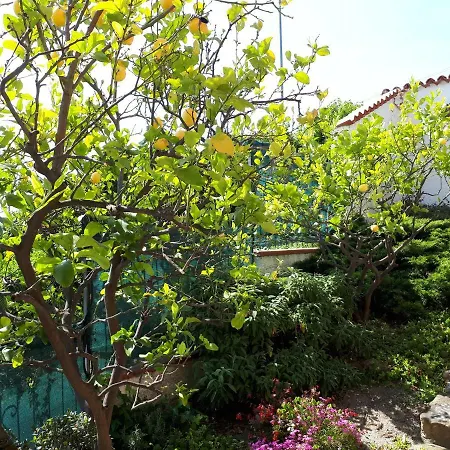 Alloggio per agriturismo Azienda Agrituristica Arianna Imperia
